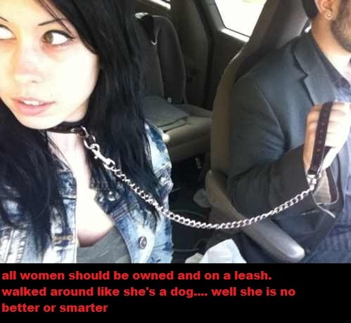 My roommate, Felicity, sometimes needs some reminder training. She…